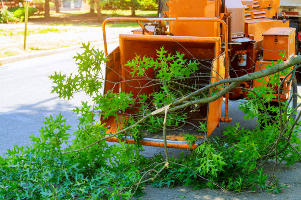 Best Tree and Shrub Care  in Newburg, WI