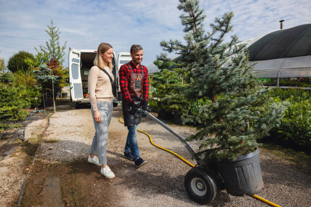 Best Emergency Tree Removal  in Newburg, WI