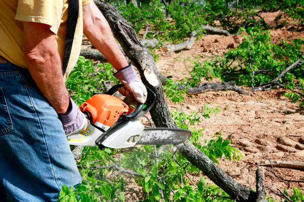 Best Arborist Consultation Services  in Newburg, WI